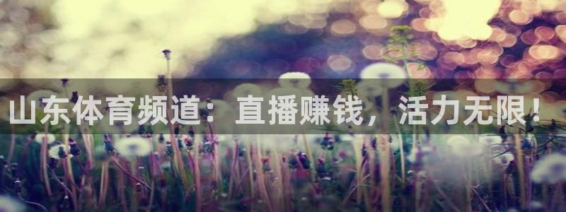 so米体育官网下载：山东体育频道：直播赚钱，活力无限！