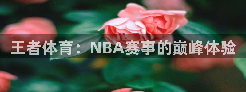 so米直播平台：王者体育：NBA赛事的巅峰体验