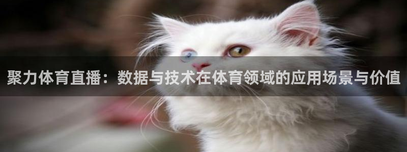 so米体育比赛直播：聚力体育直播：数据与技术在体育领域的应用场景与价值