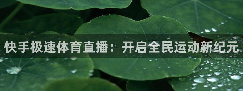 so米nba直播吧：快手极速体育直播：开启全民运动新纪元