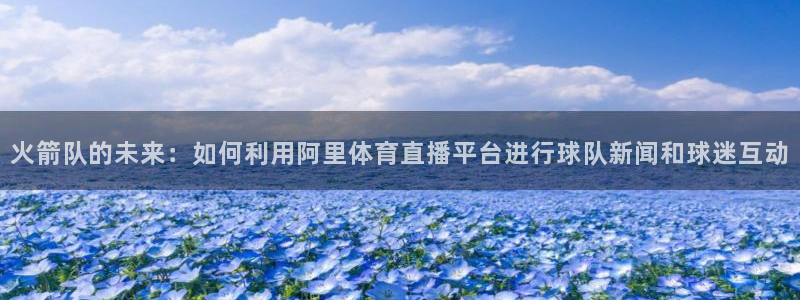 so米体育直播间在线观看：火箭队的未来：如何利用阿里体育直播平台进行球队新闻和球迷互动