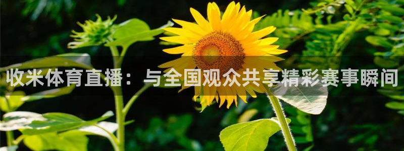 so米直播体育在线：收米体育直播：与全国观众共享精彩赛事瞬间