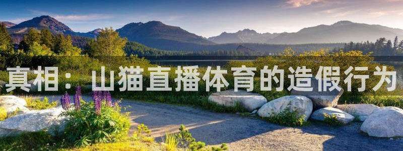 so米体育nba直播：真相：山猫直播体育的造假行为
